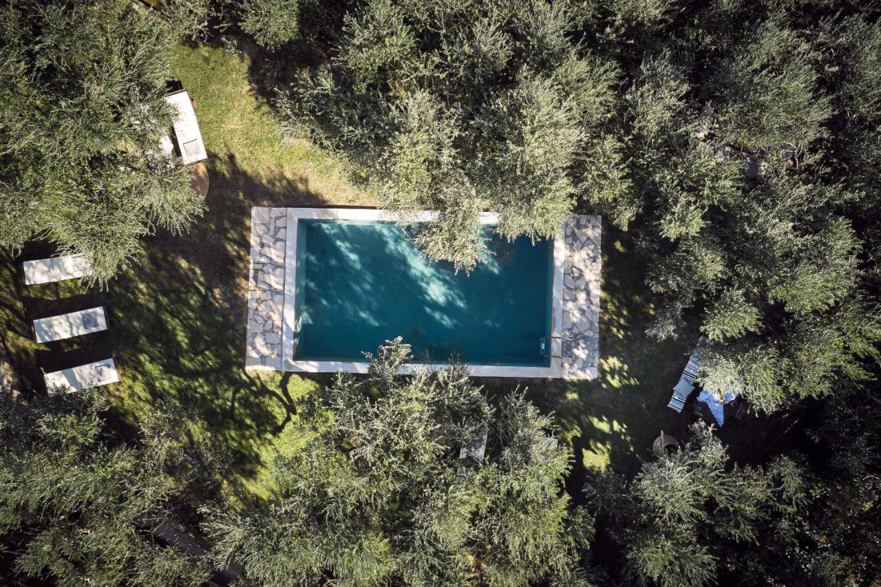 Vafias Villa - Tranquil Location, Ideal For Large Groups, By Zantewize Lithakia  Zewnętrze zdjęcie